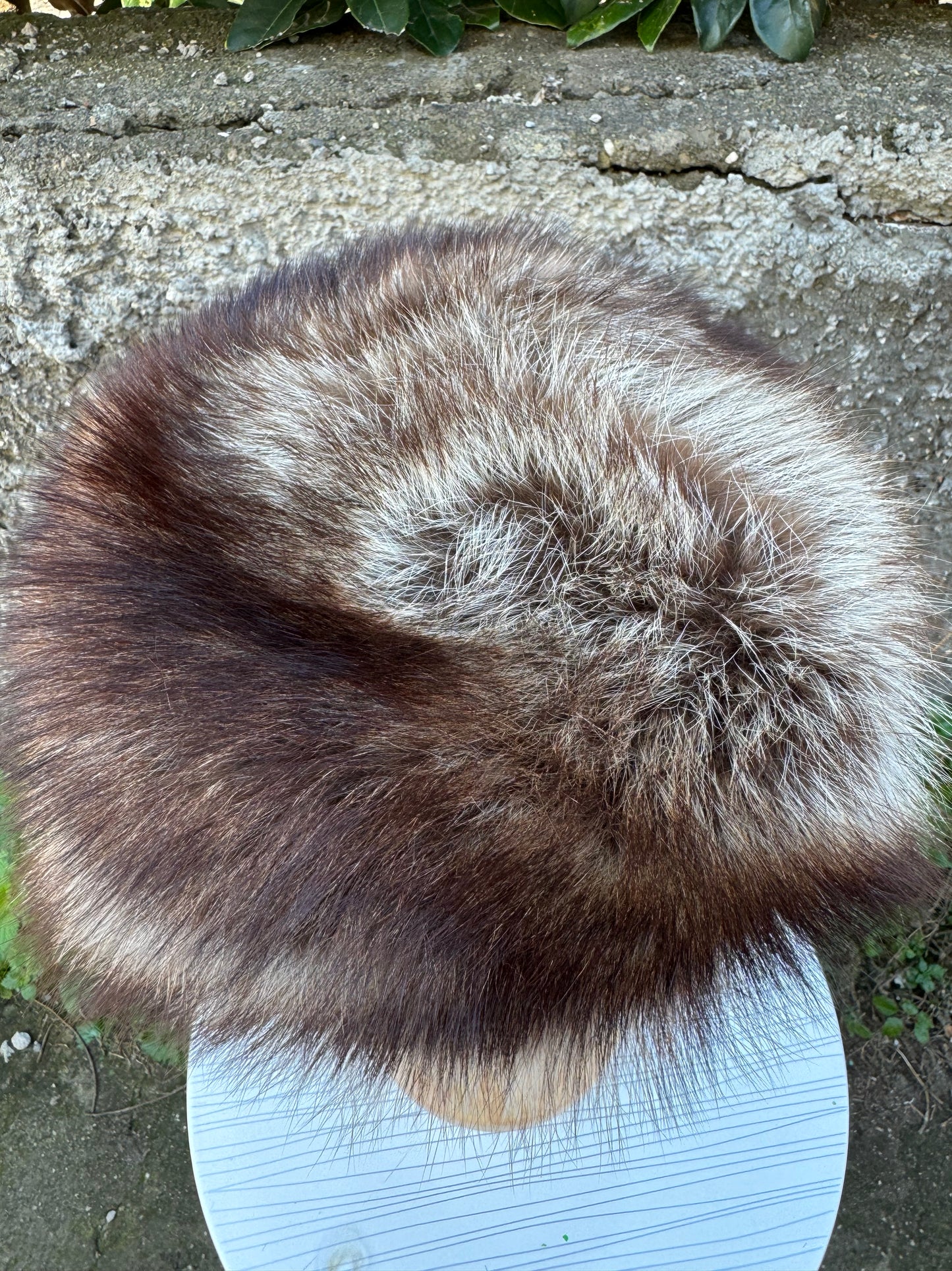 Cappello di marmotta
