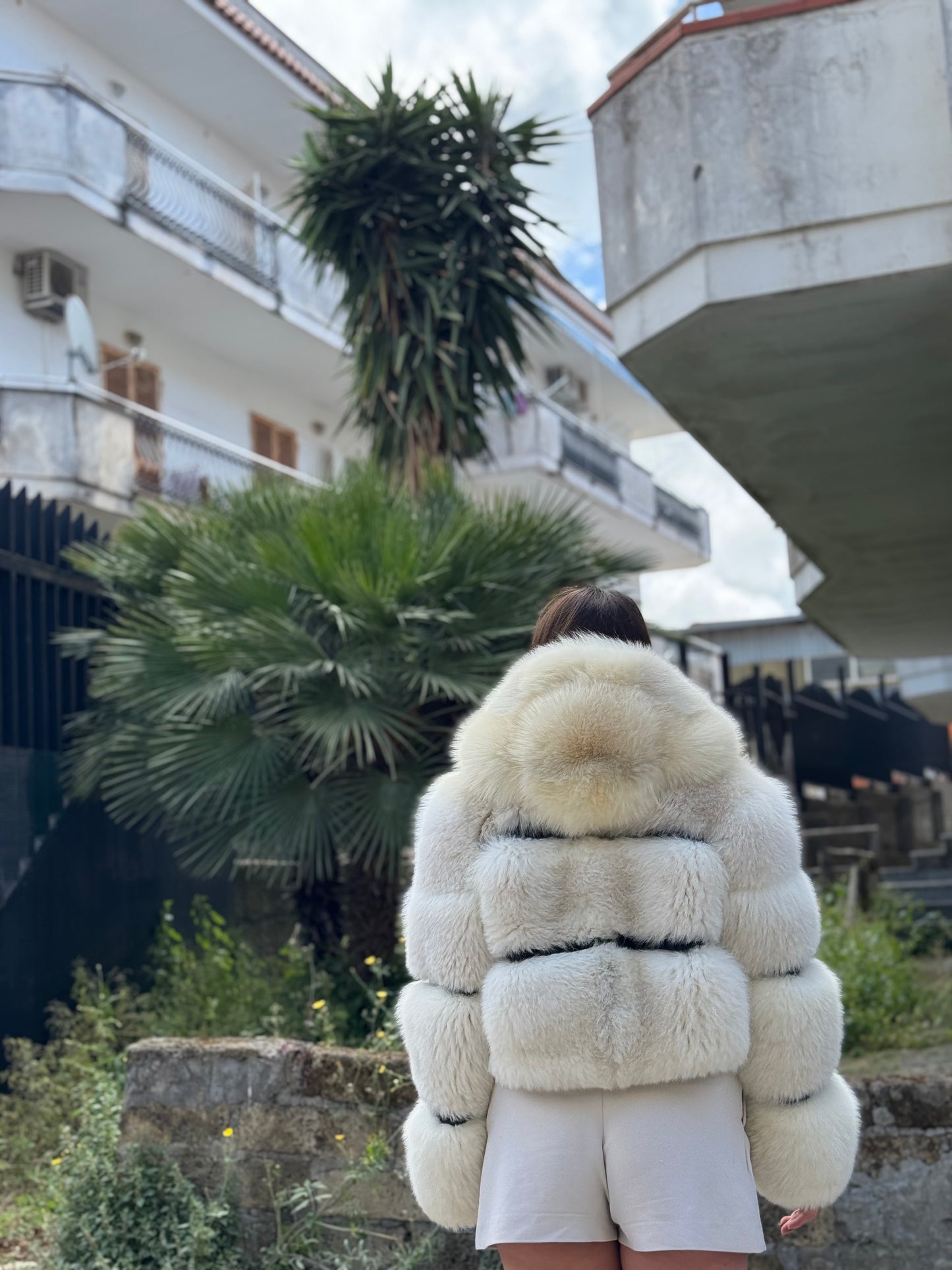 Bon Bon in volpe polare