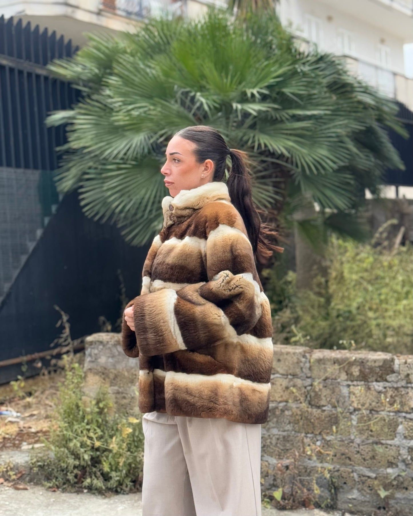 Rex Chinchilla Jacket
