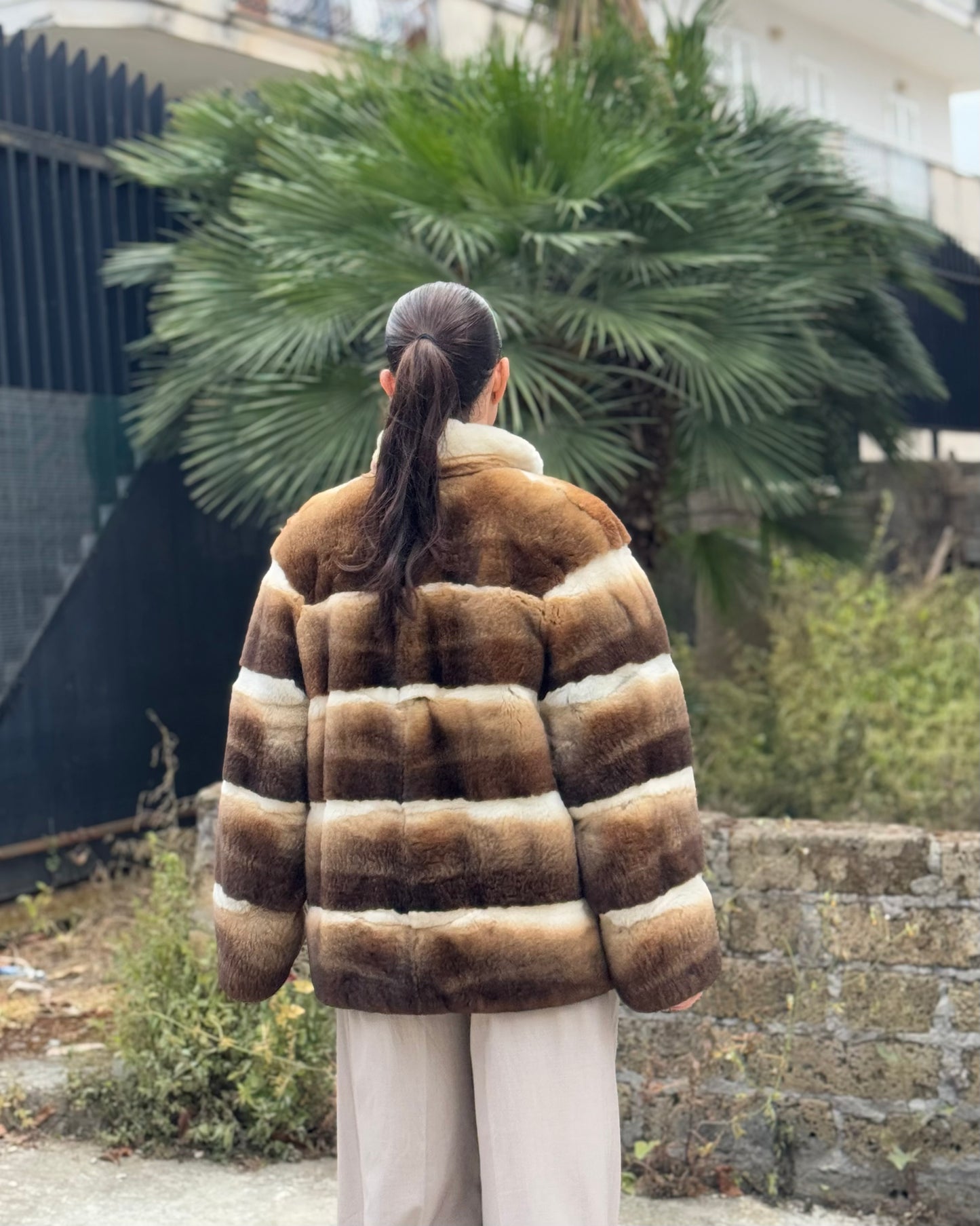 Rex Chinchilla Jacket