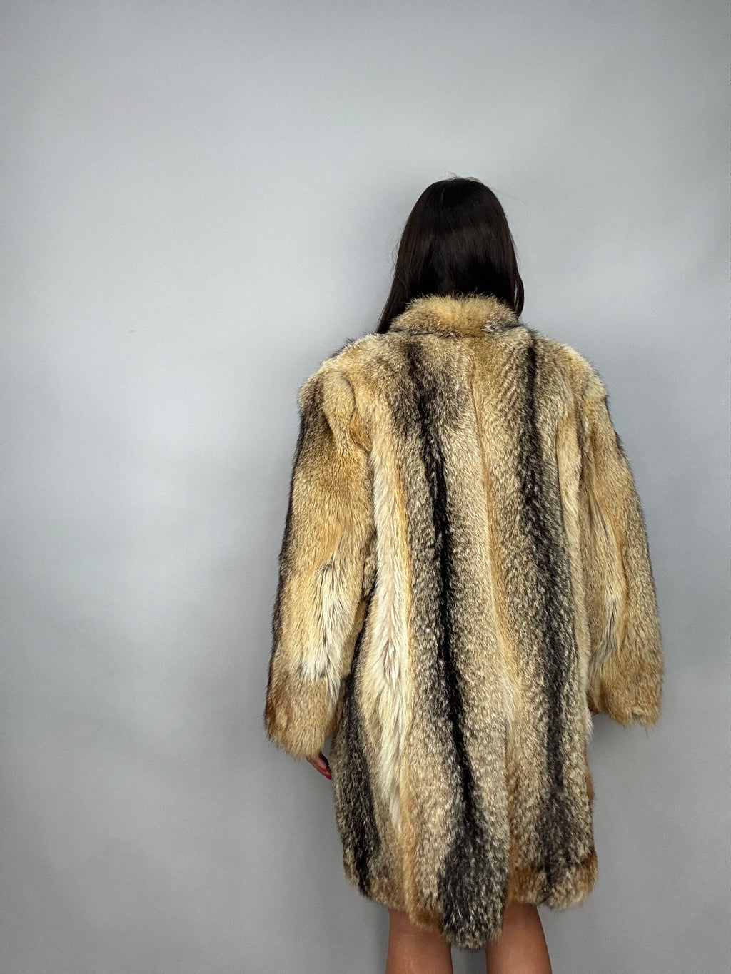 Giacca in volpe della virginia