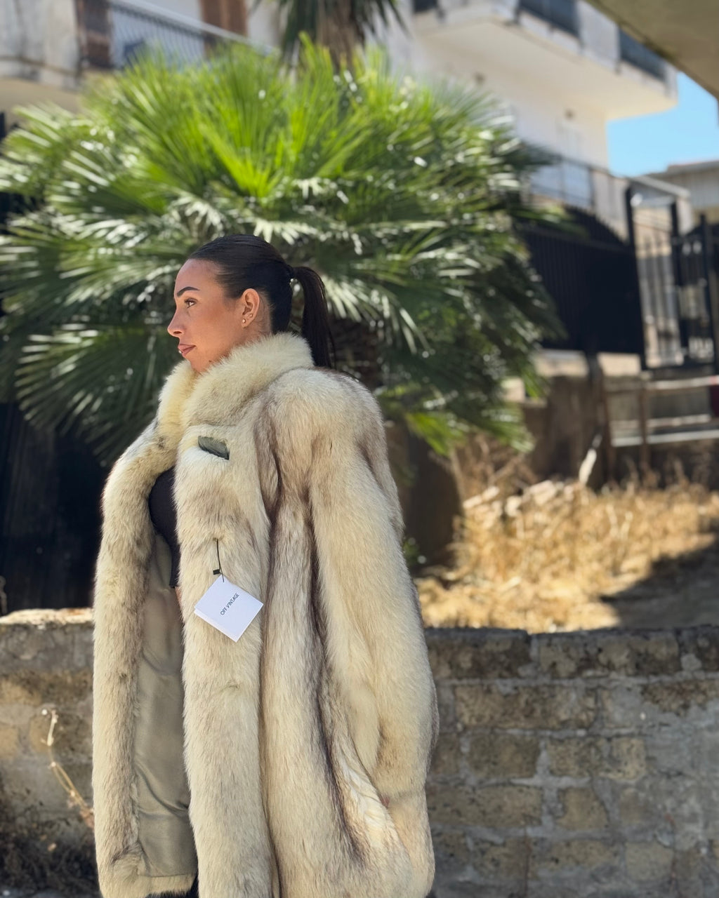 Giacca in volpe in groenlandia