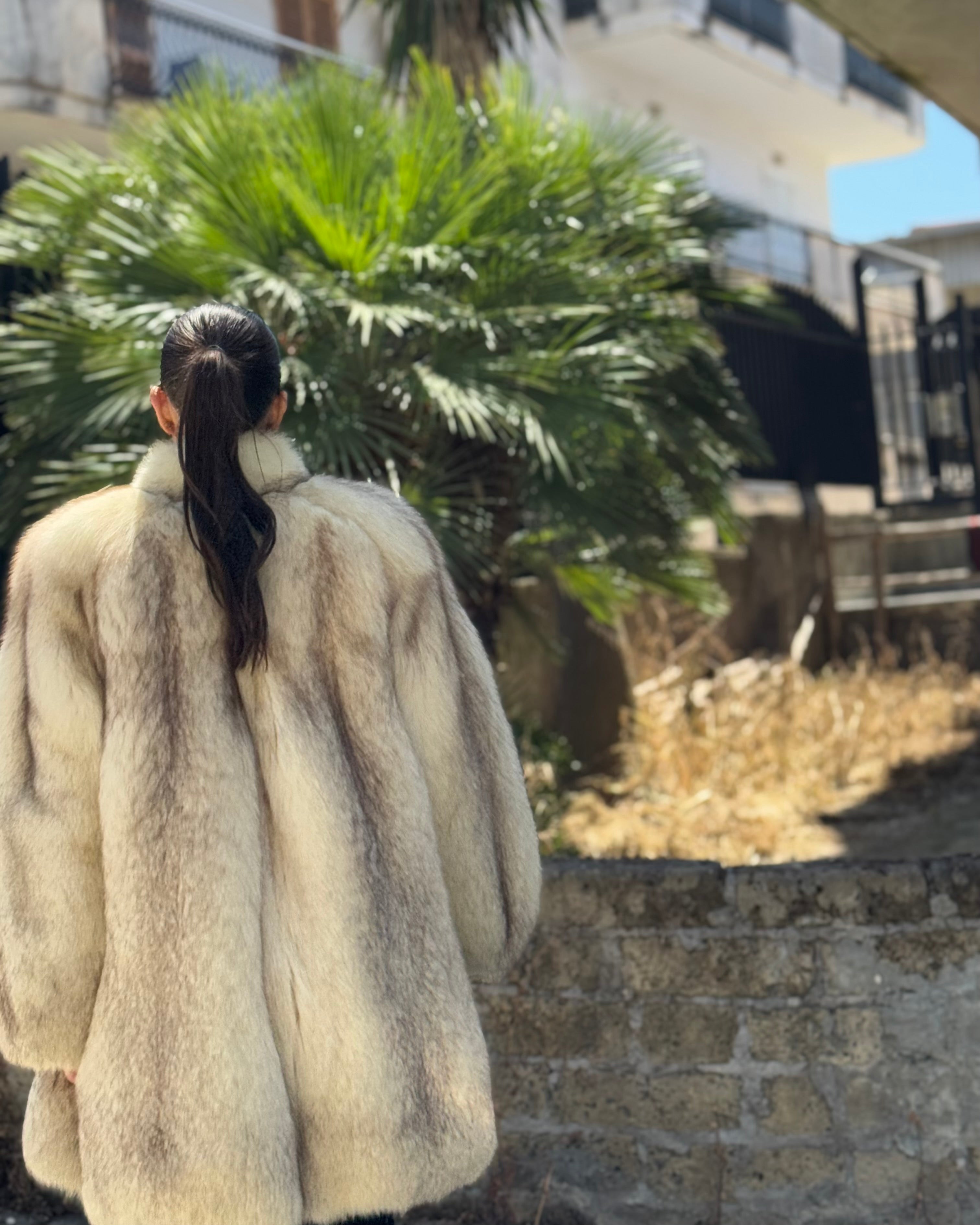 Giacca in volpe in groenlandia