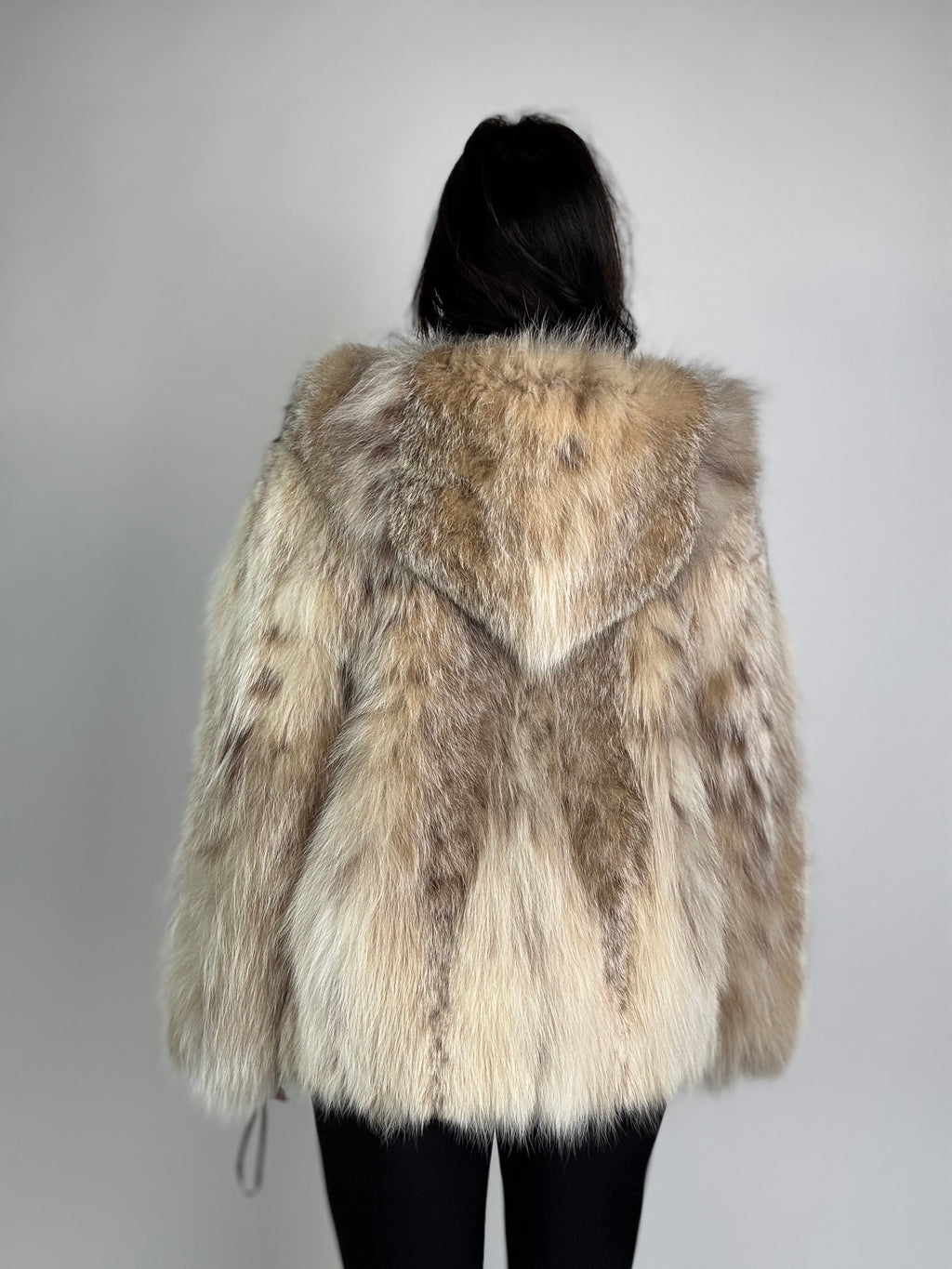 Bomber in lince