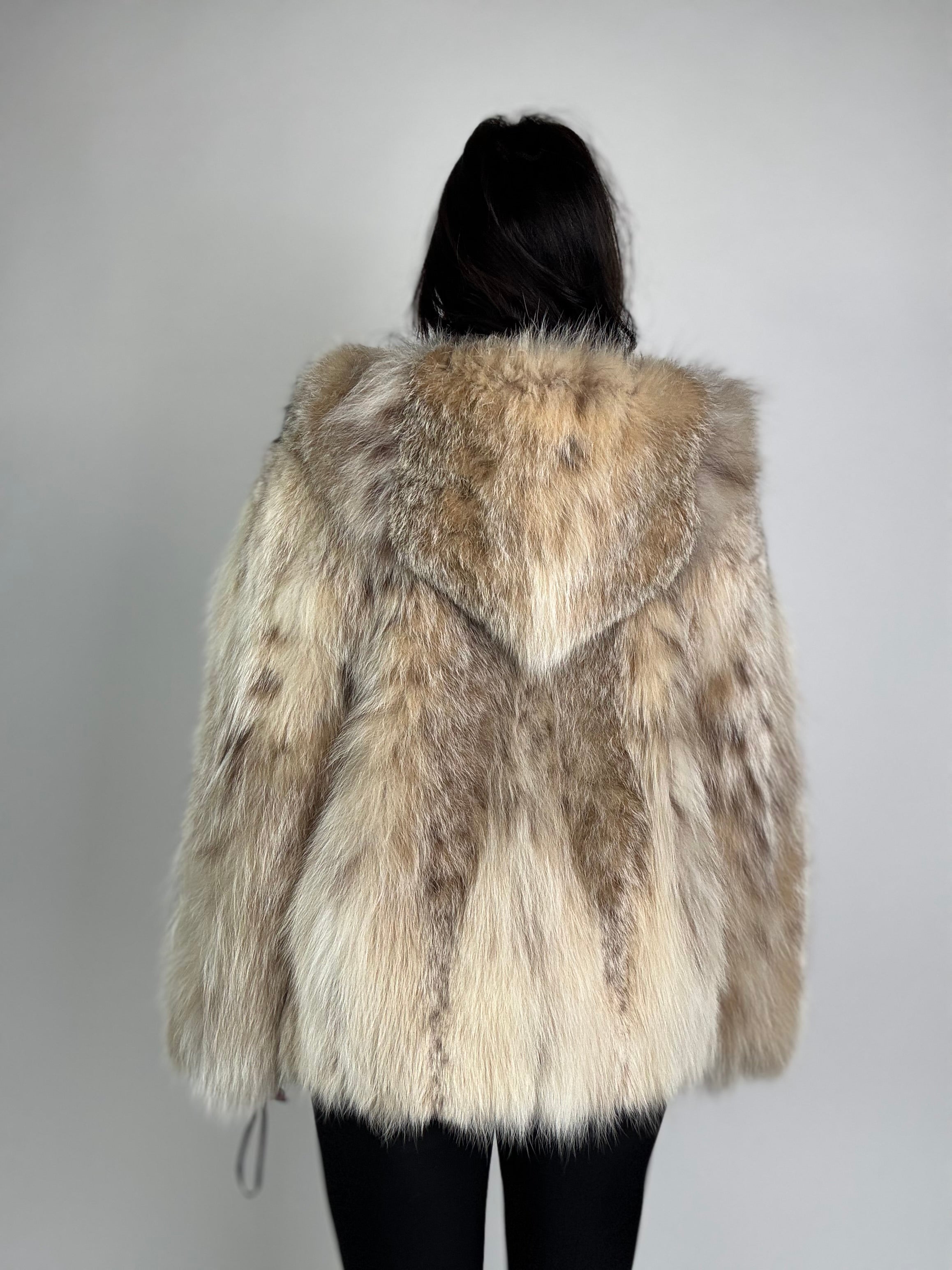 Bomber in lince