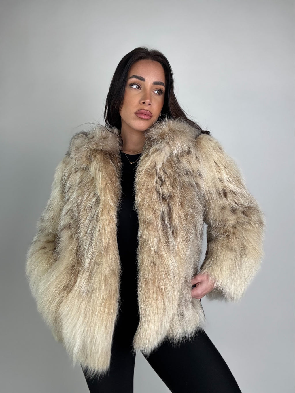 Bomber in lince