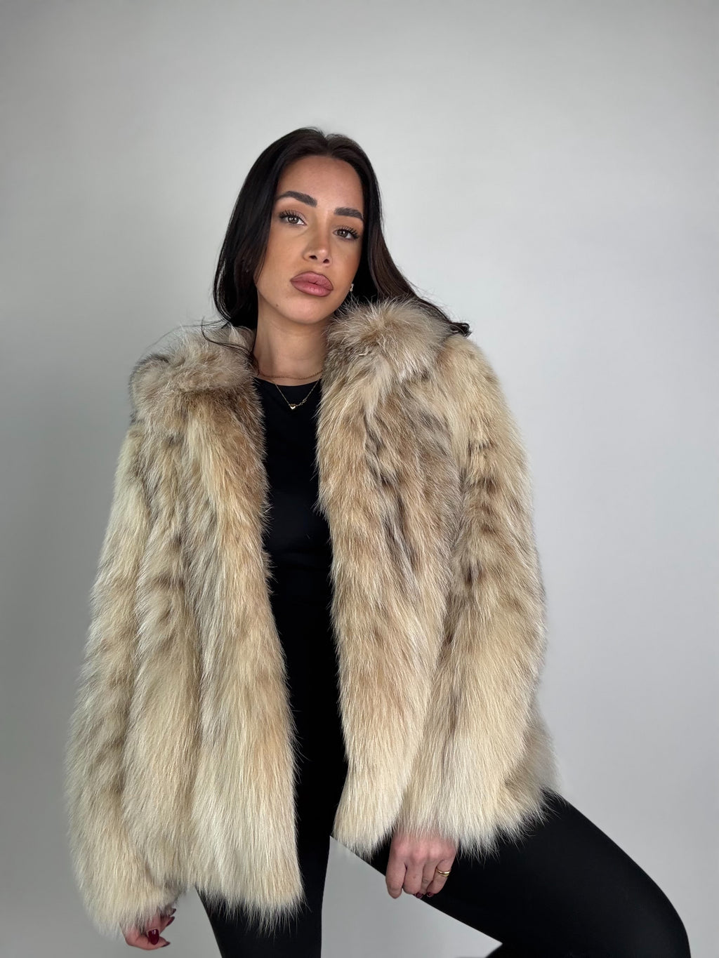 Bomber in lince