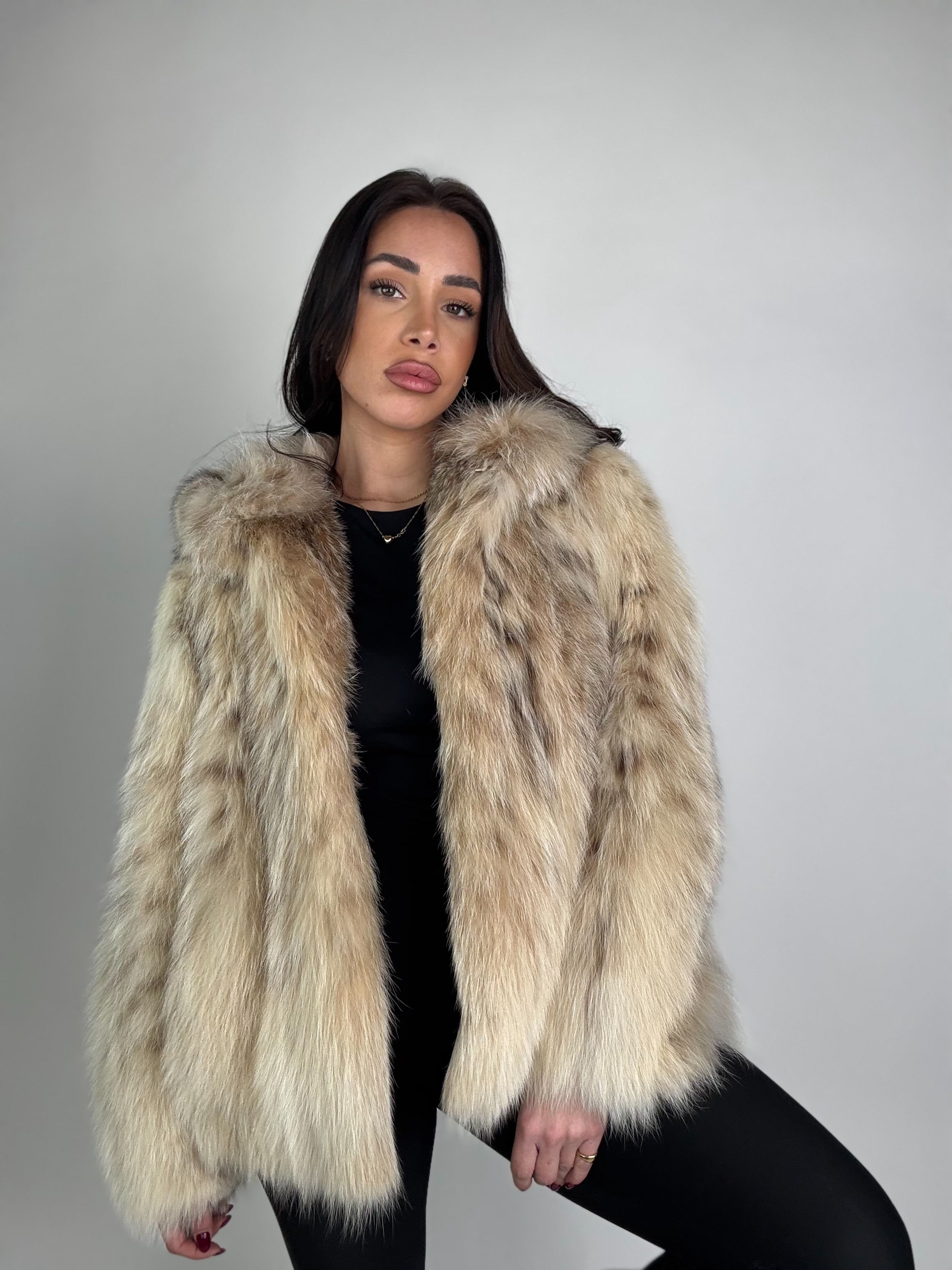 Bomber in lince