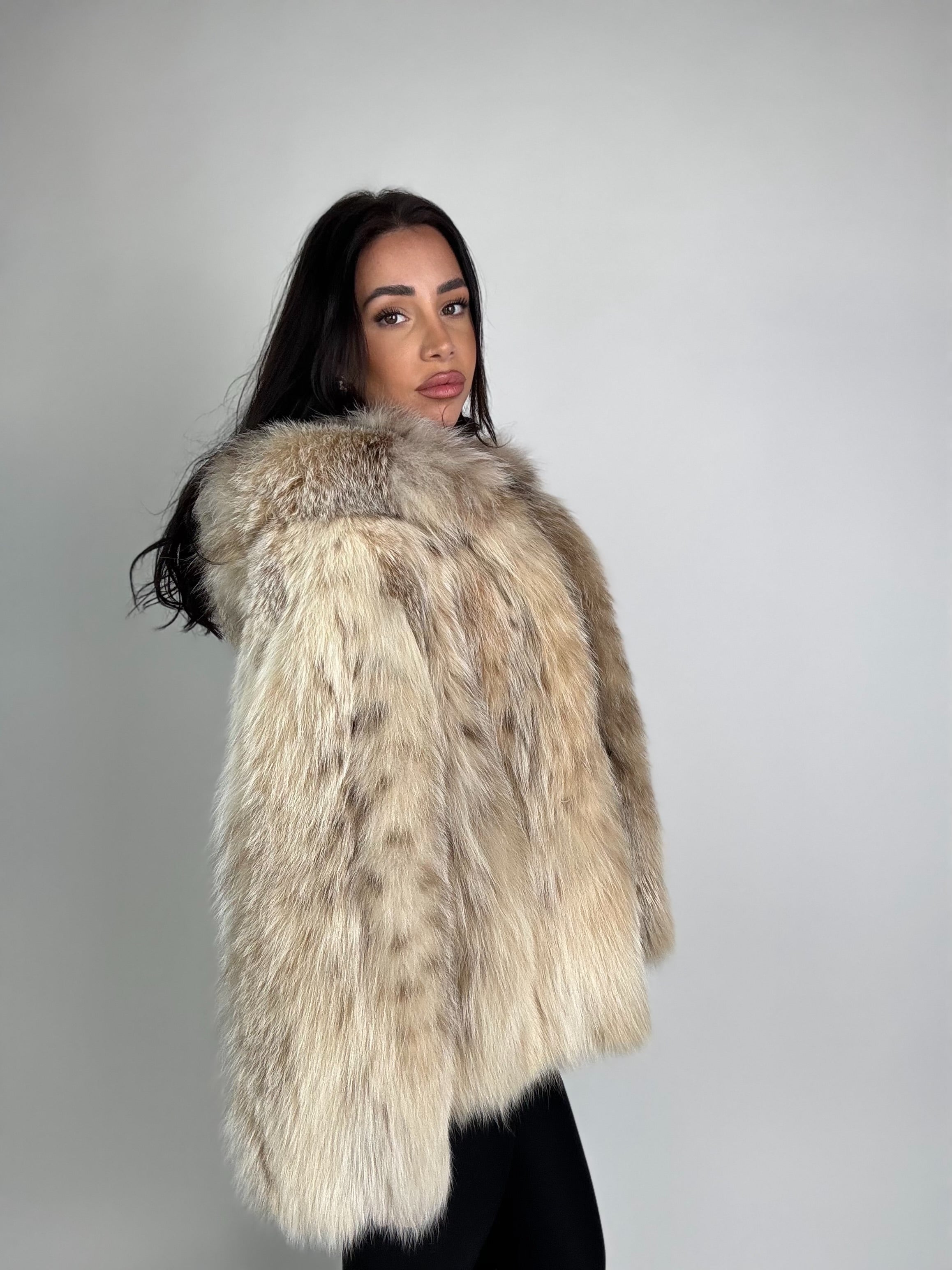 Bomber in lince