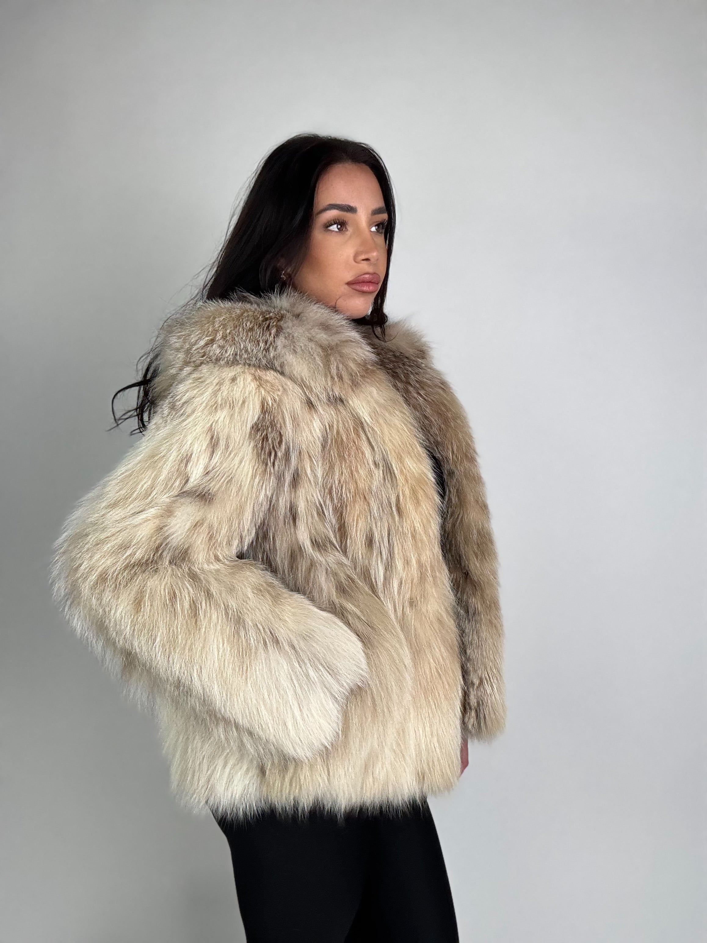 Bomber in lince