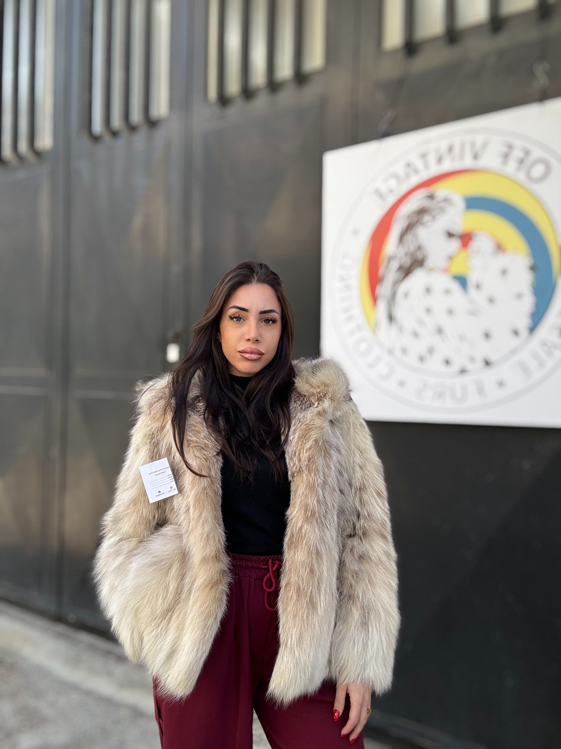 Bomber in lince