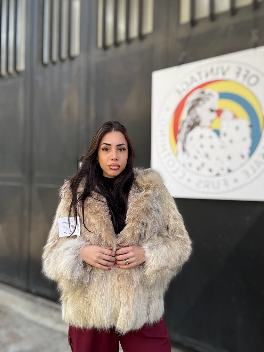 Bomber in lince