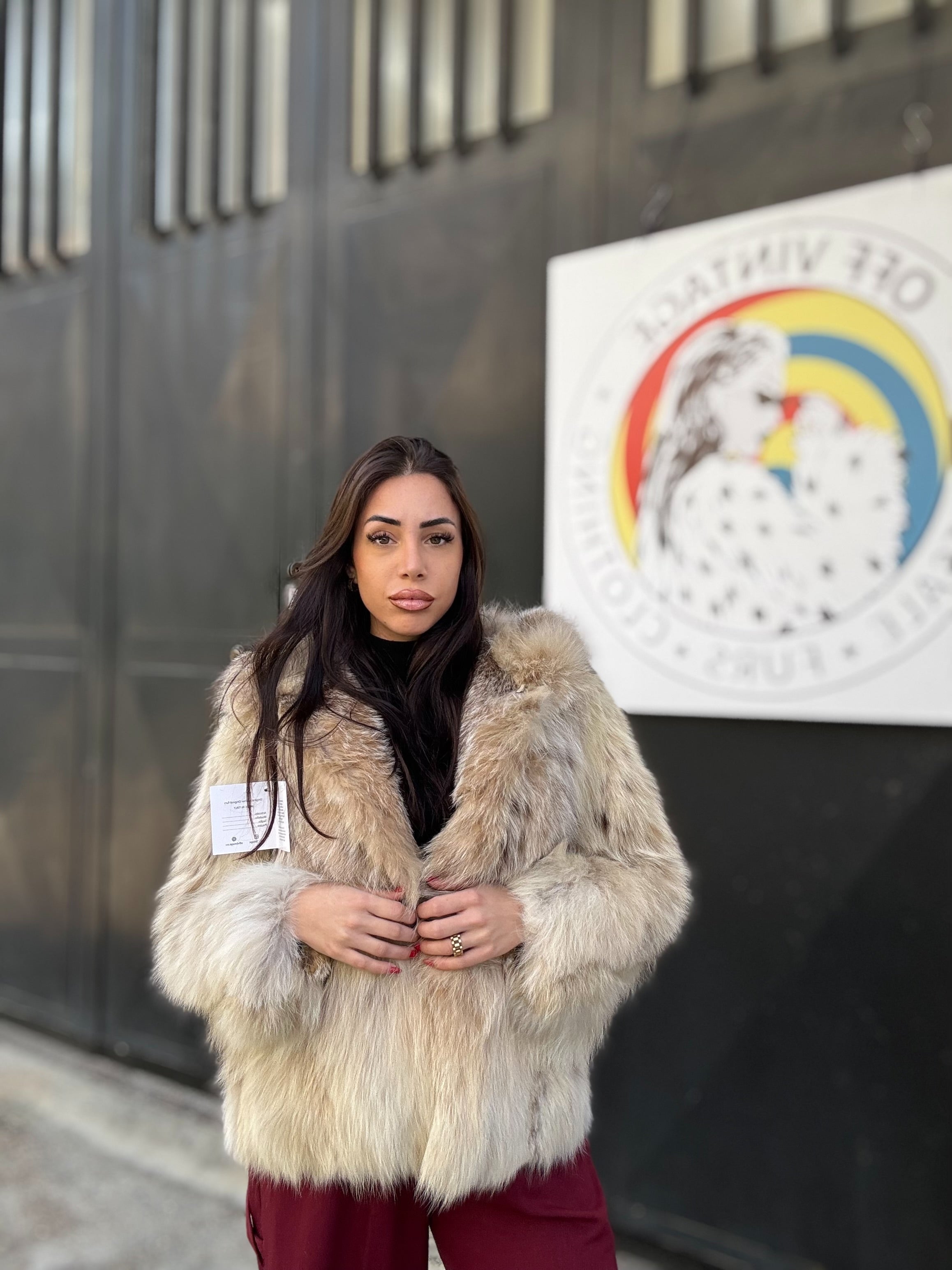 Bomber in lince