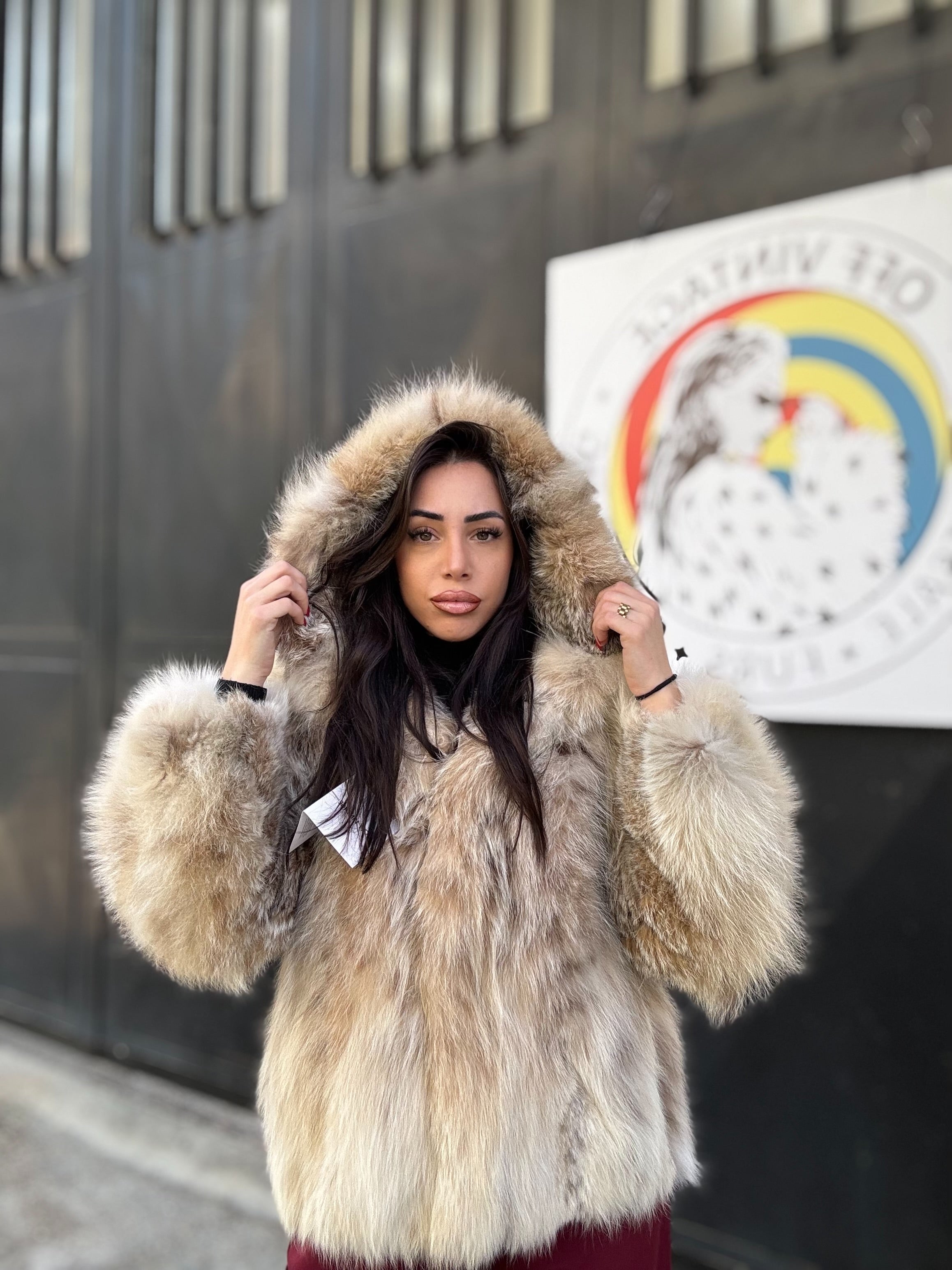Bomber in lince