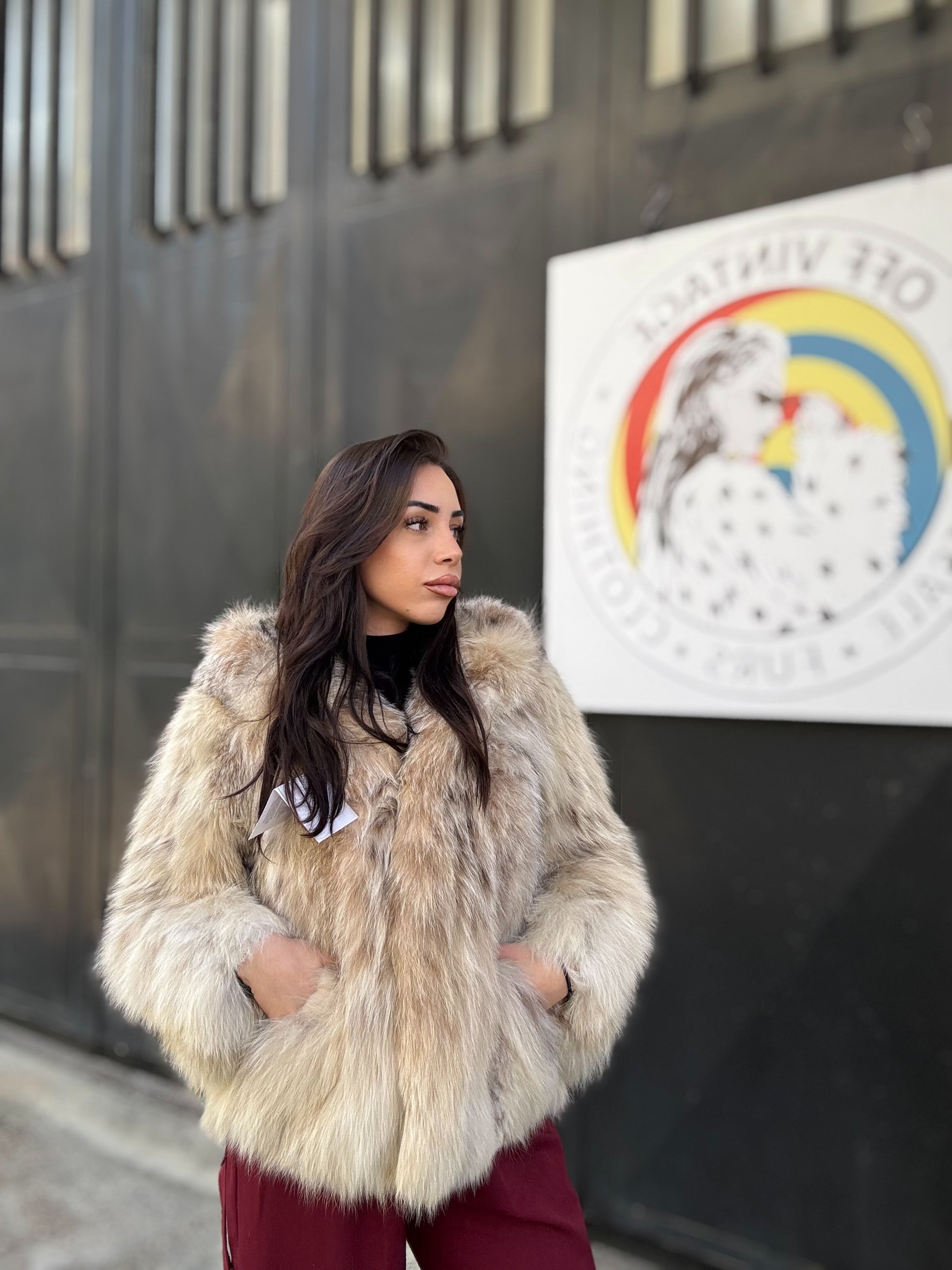 Bomber in lince