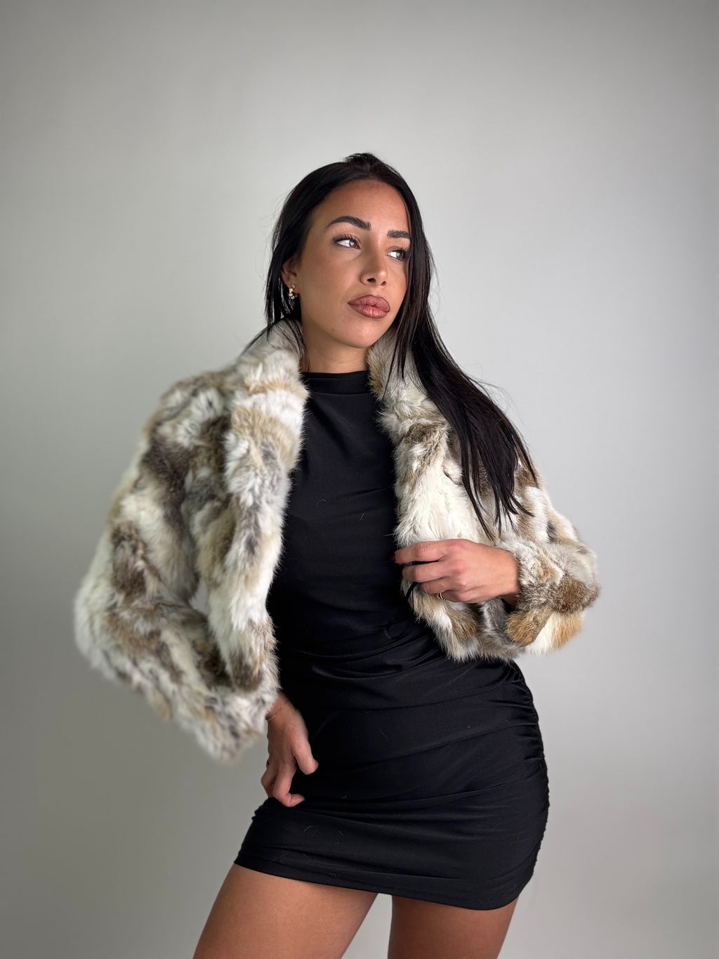 Giacca in volpe della groenlandia N29