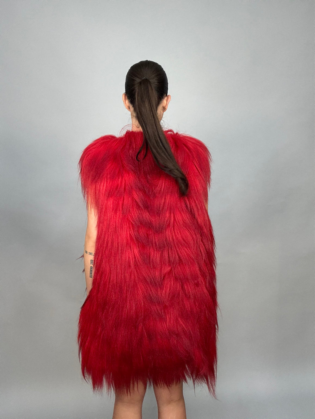 Smanicato in mongolia